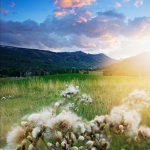 Meet your Posher, Jack